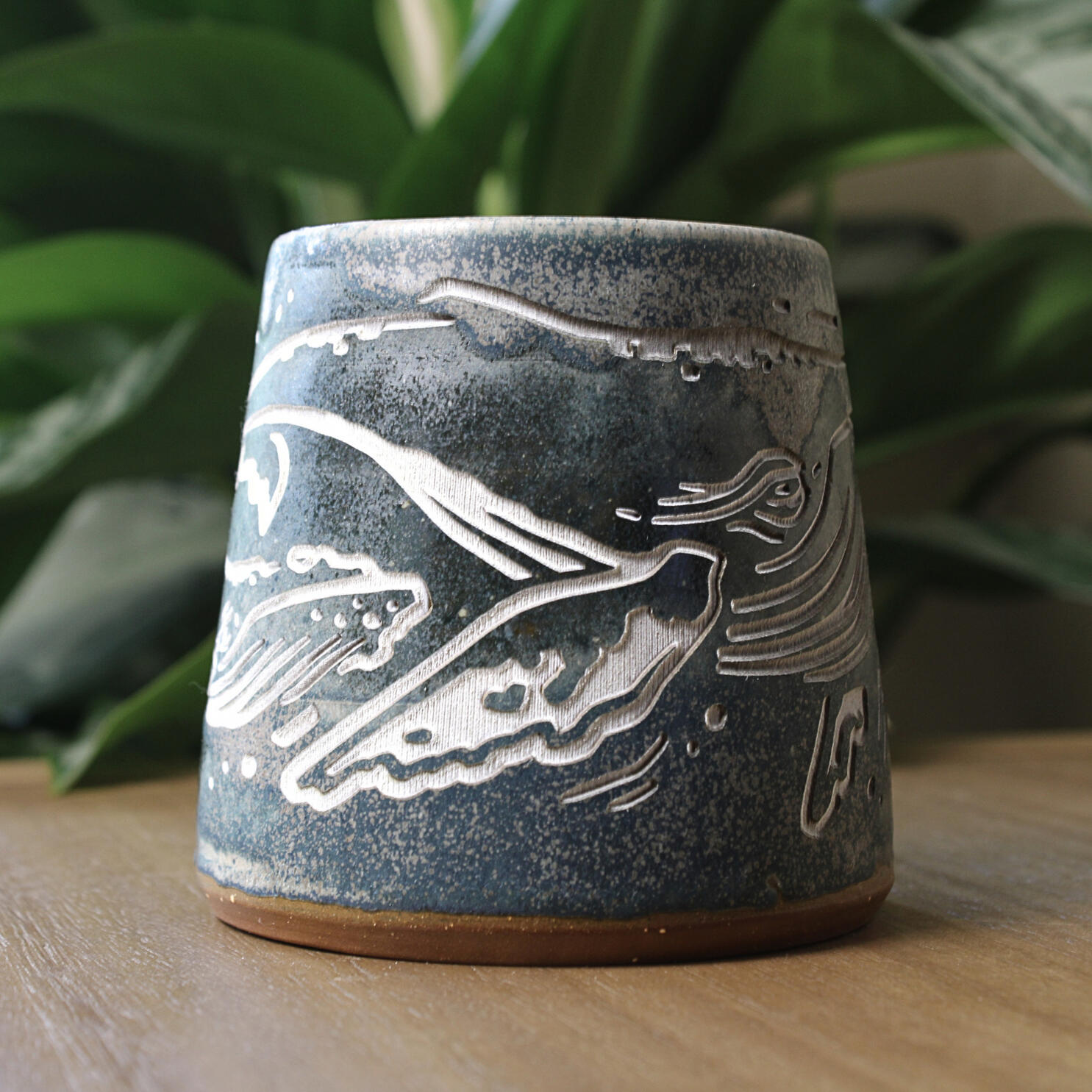 Humpback Whale