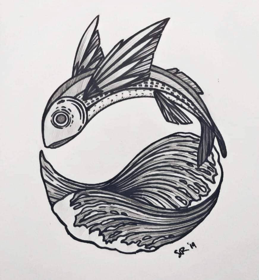 Flying Fish